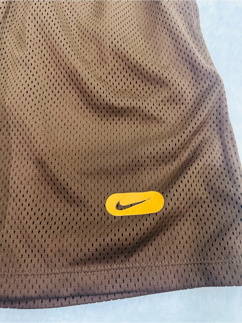 Boys Brown Nike Shorts